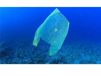 You cannot swim in a plastic ocean