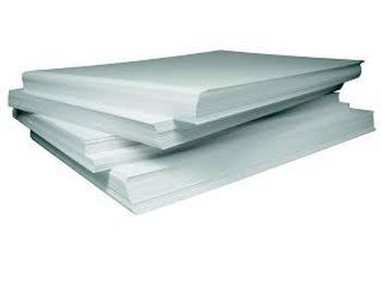 Amid COVID-19, paper producers rush to p…