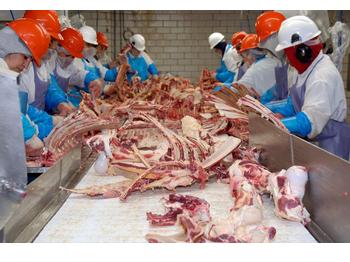 Meatpacking Plants Become The Major Hots…